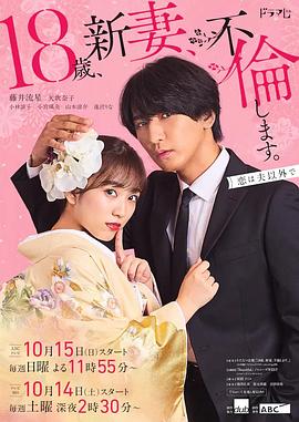 美国派10